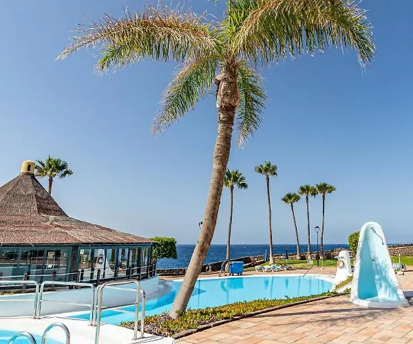 La Dorada En Rocas Del Mar